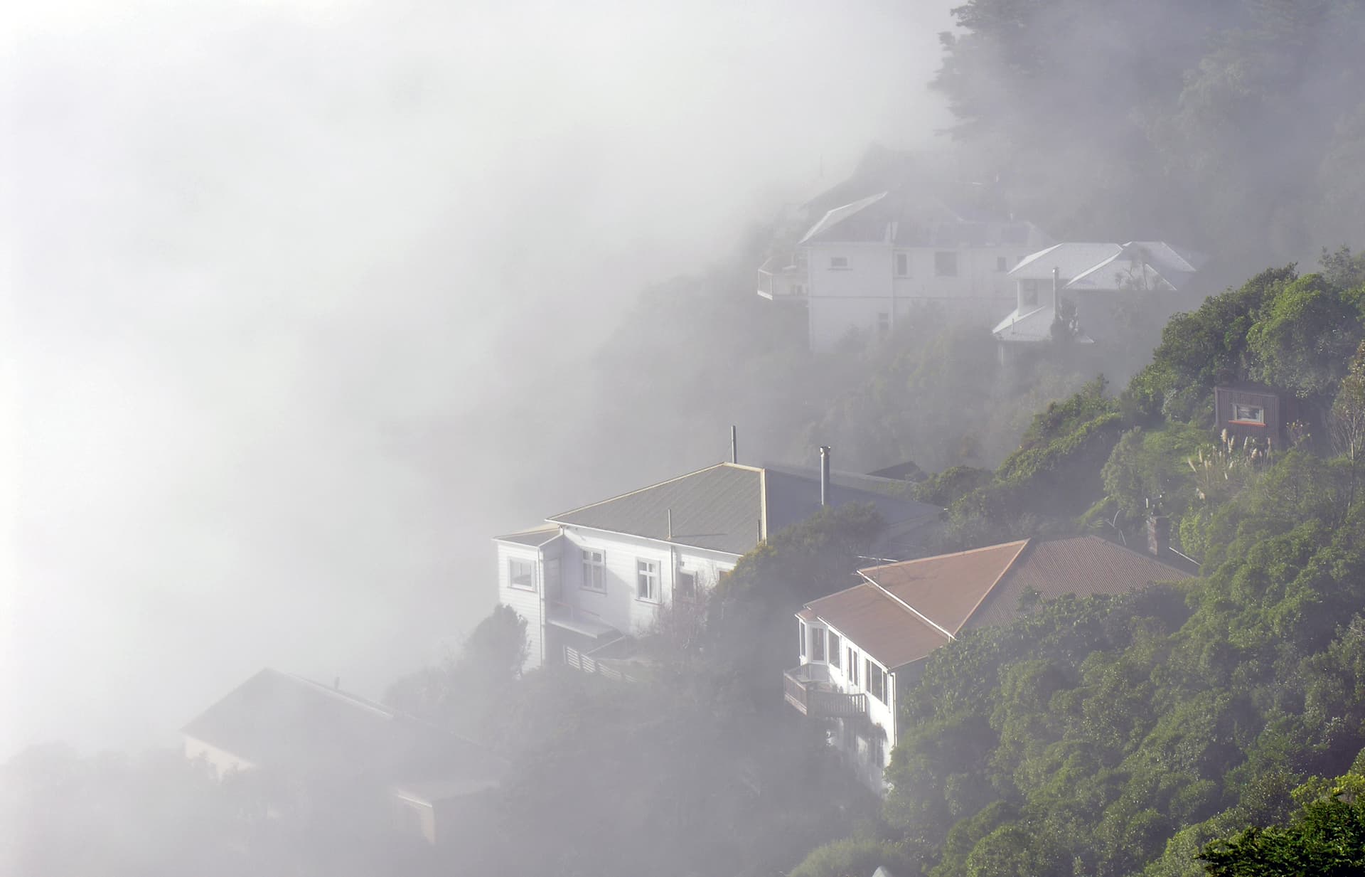 Mount Victoria, Wellington — heritage weatherboard homes on a misty hillside